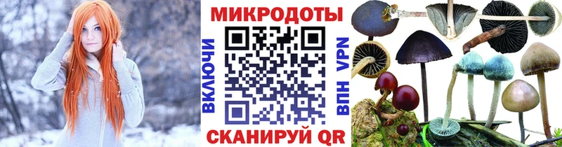где можно купить   Сухиничи  Псилоцибиновые грибы Cubensis 